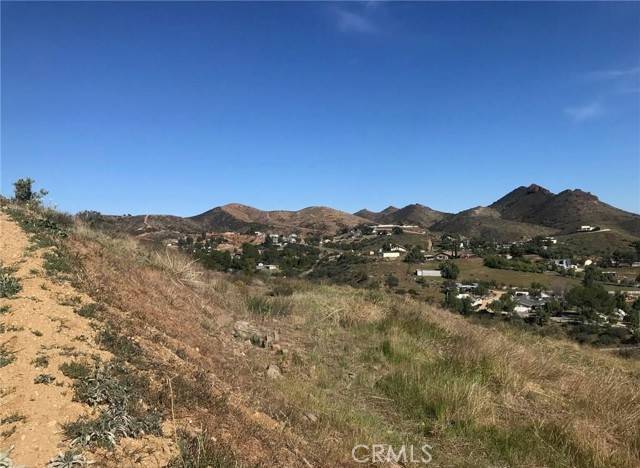 Agua Dulce, CA 91350,0 Vac/Vic Willow Ln/ Woolsox RD