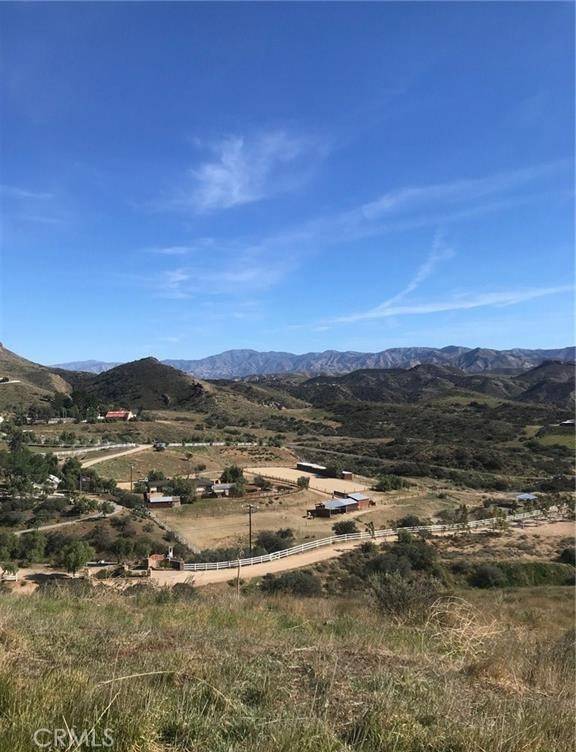 Agua Dulce, CA 91350,0 Vac/Vic Willow Ln/ Woolsox RD