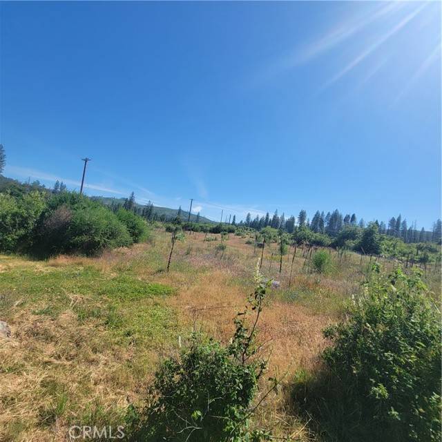 Oroville, CA 95965,3831 Camelot LN