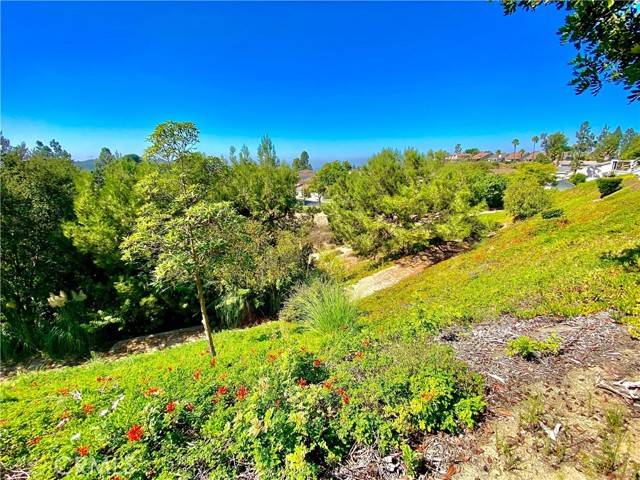 Anaheim Hills, CA 92807,941 S Boone CIR