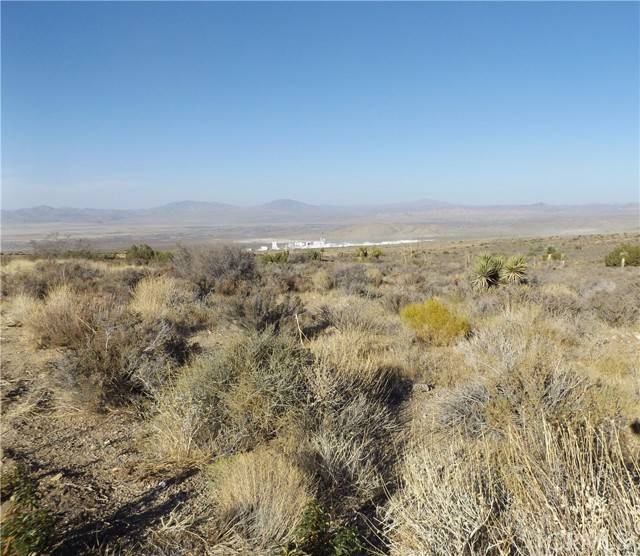 Lucerne Valley, CA 92356,10 Mesa