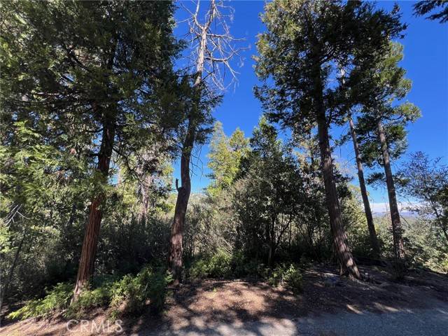 Lake Arrowhead, CA 92352,27530 North Bay RD
