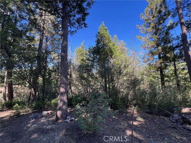 Lake Arrowhead, CA 92352,27530 North Bay RD