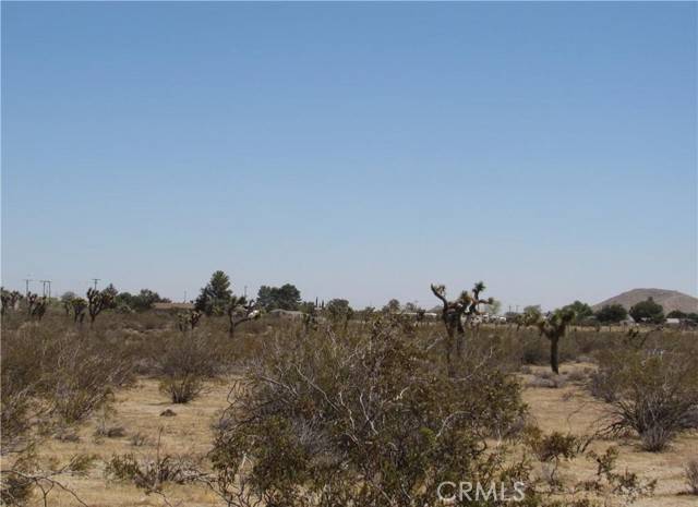 Mojave, CA 93501,0 346-214-55-00-0