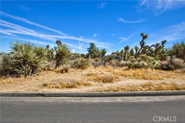 Yucca Valley, CA 92284,25 Lot 25 Joshua DR