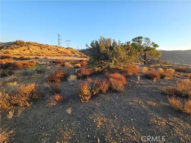 Palmdale, CA 93550,0 Angeles FRST