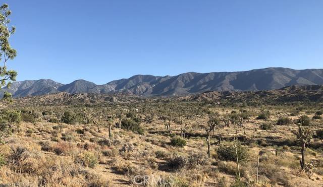 Pearblossom, CA 93553,11640 Fort Tejon RD