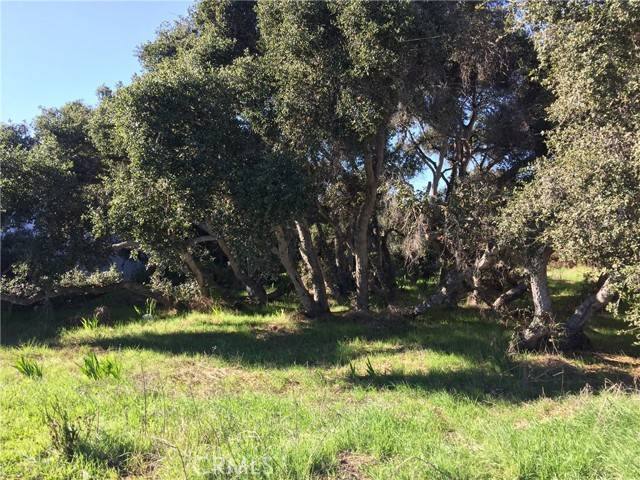 Los Osos, CA 93402,2021 9th ST