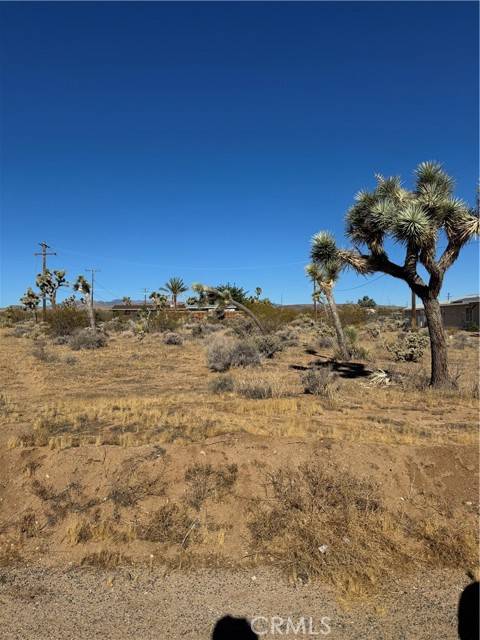 Yucca Valley, CA 92284,58279 Canterbury ST