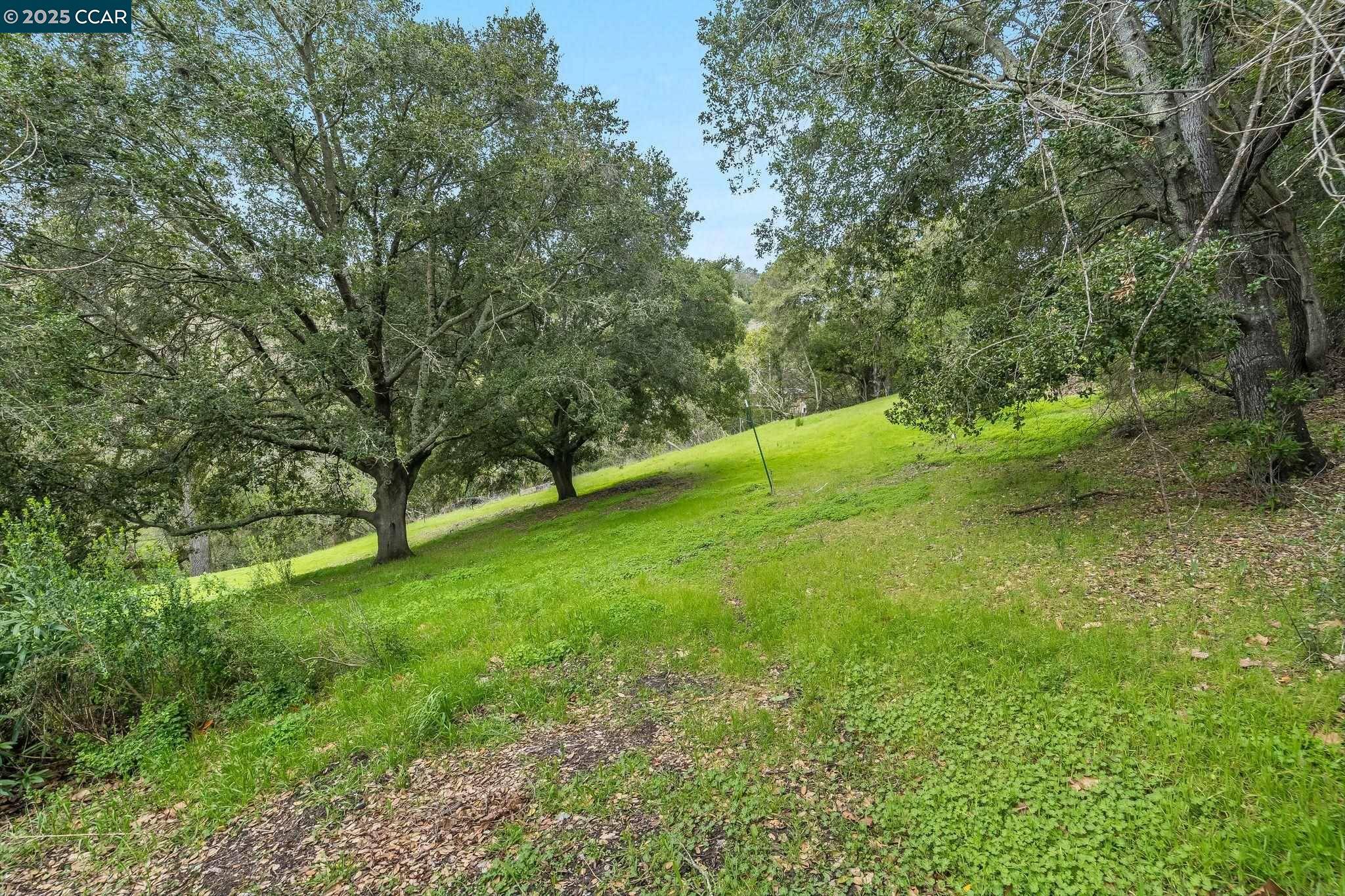 Orinda, CA 94563,9 Charles Hill Rd