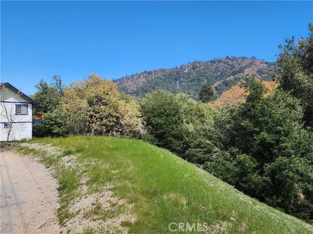 Crestline, CA 92325,327 Davos DR