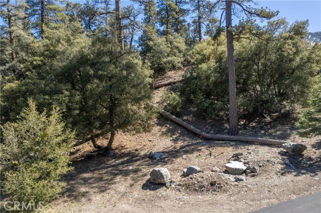 CA 93222,1300 Banff DR