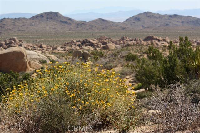 Pioneertown, CA 92268,52588 Blackbrush RD