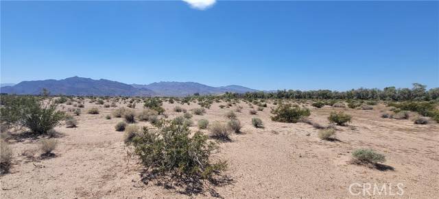 Newberry Springs, CA 92365,0 Black Butte Rd