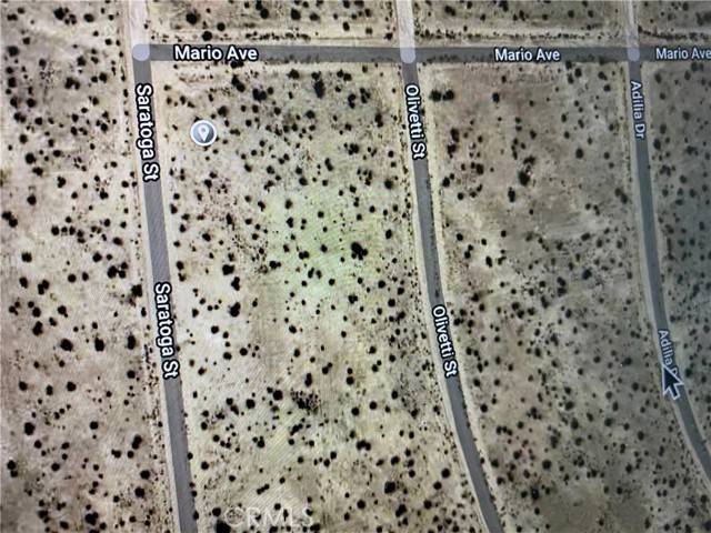 California City, CA 93505,2500 SARATOGA AVE