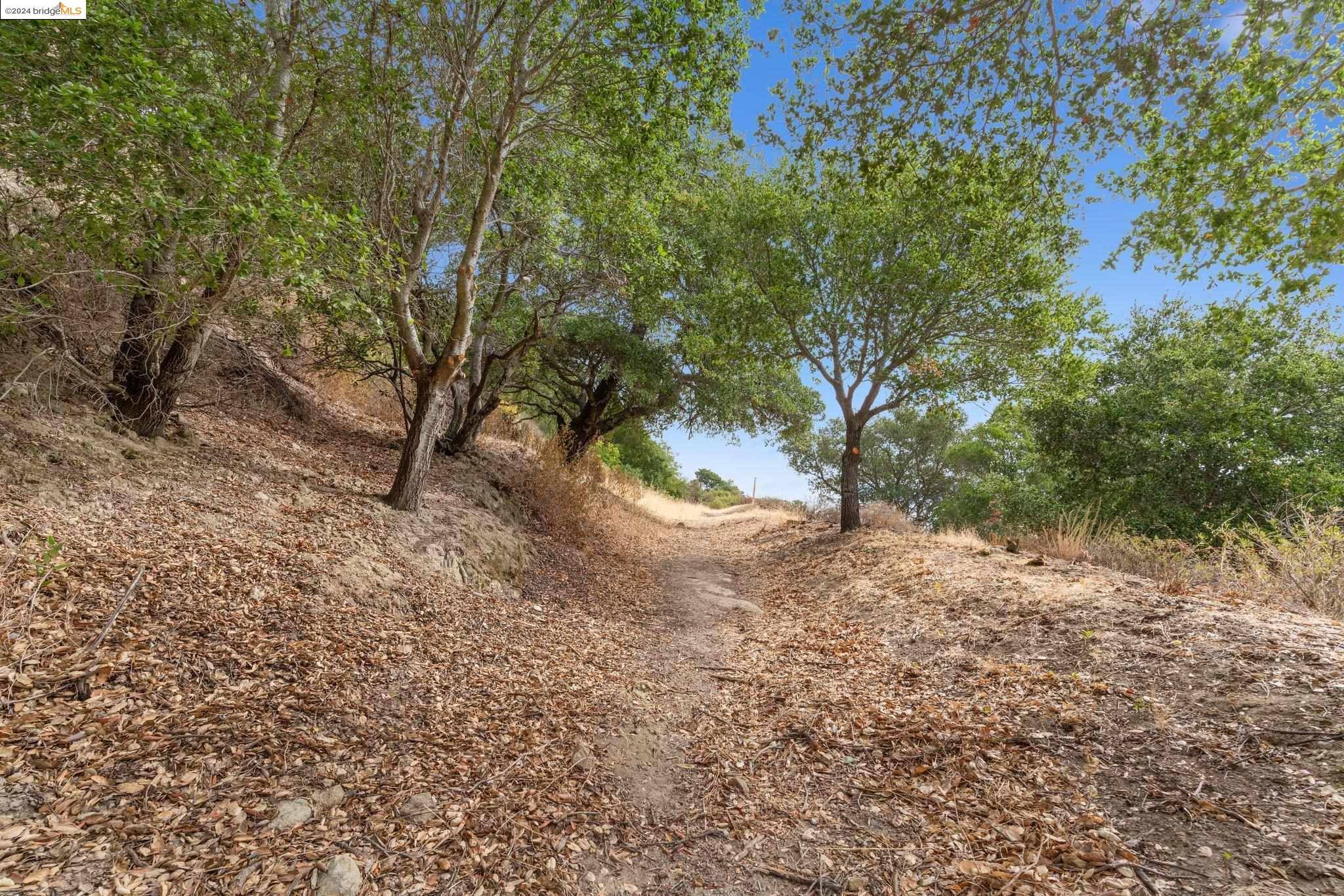 Lafayette, CA 94549,Bradbury Dr