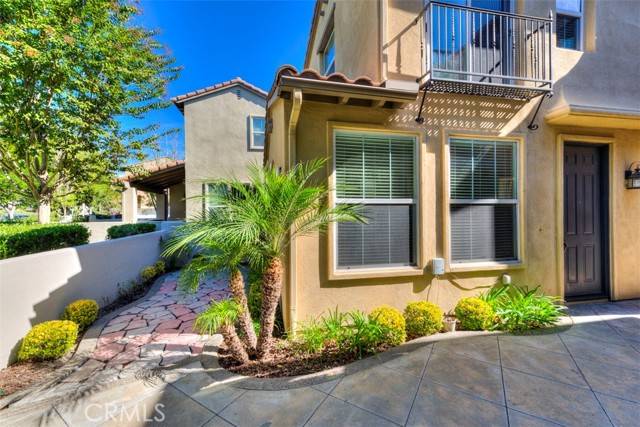 Ladera Ranch, CA 92694,20 Snapdragon ST