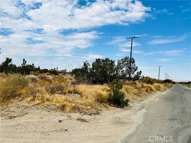 Llano, CA 93544,0 263rd ST