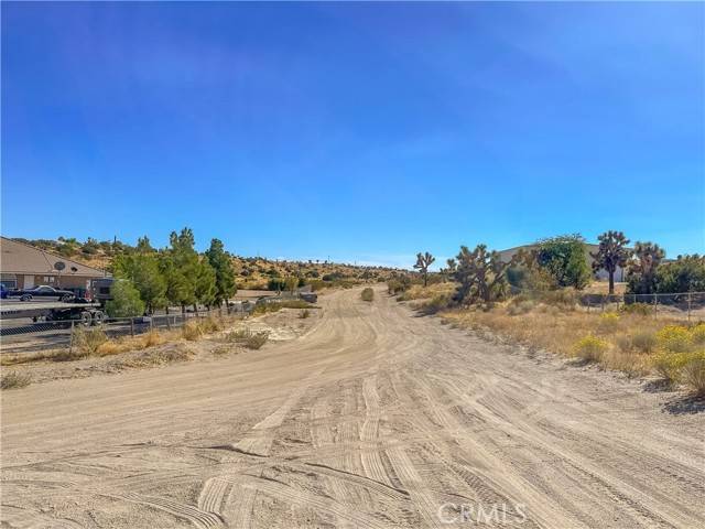 Oak Hills, CA 92344,0 Verbena