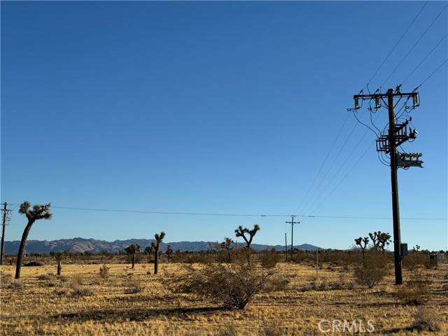 Yucca Valley, CA 92284,63103 Luna Mesa RD