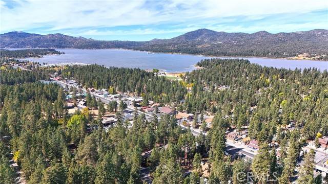 Big Bear Lake, CA 92315,41801 Comstock LN