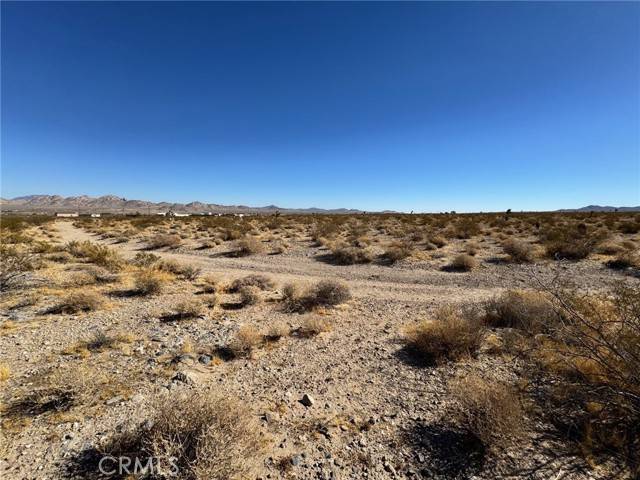 Lucerne Valley, CA 92356,0 Dallas AVE