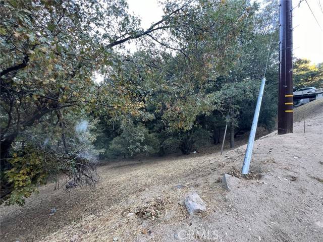 Crestline, CA 92325,0 Edelweiss