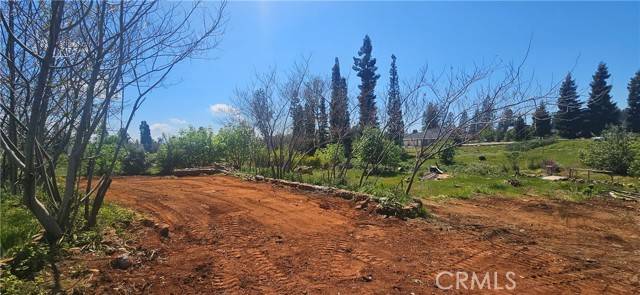 Paradise, CA 95969,6541 Wheeler RD