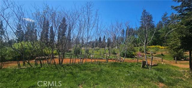 Paradise, CA 95969,6541 Wheeler RD