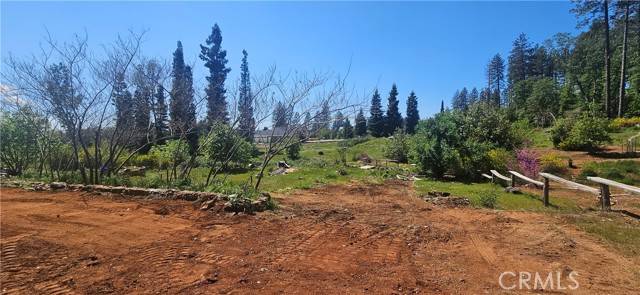Paradise, CA 95969,6541 Wheeler RD