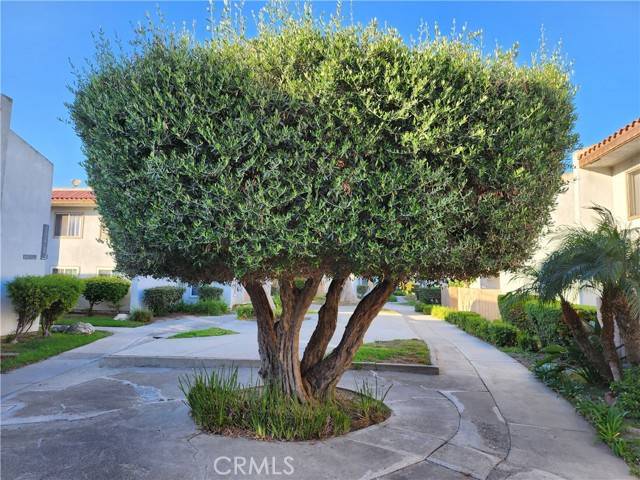 Santa Ana, CA 92704,2521 W Sunflower AVE T2