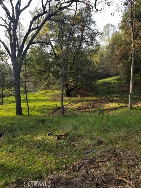 Oakhurst, CA 93644,1 Oak LN