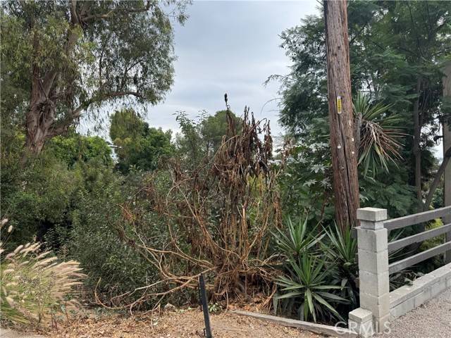 Los Angeles, CA 90065,891 Mount Washington DR