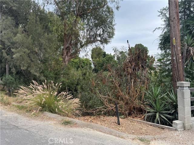 Los Angeles, CA 90065,891 Mount Washington DR