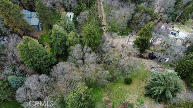 Crestline, CA 92325,703 Scenic View DR