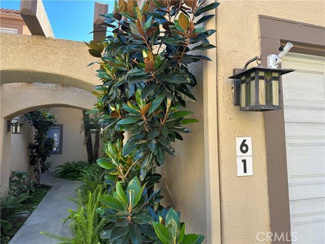 Aliso Viejo, CA 92656,61 Via Bacchus