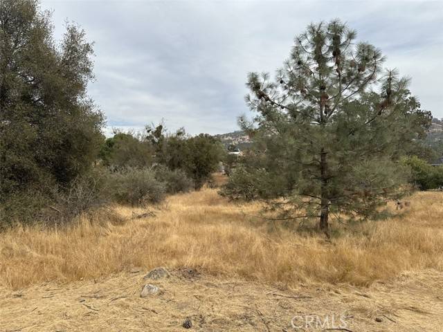 Coarsegold, CA 93614,0 Lot 880 Jim Bowie CT