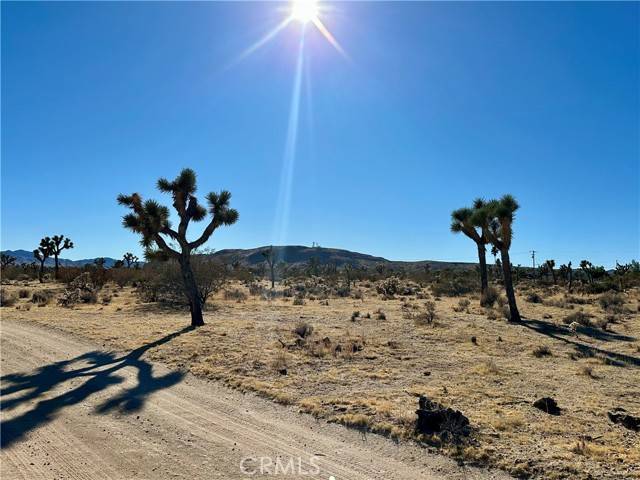 Yucca Valley, CA 92284,4726 Paradise View RD