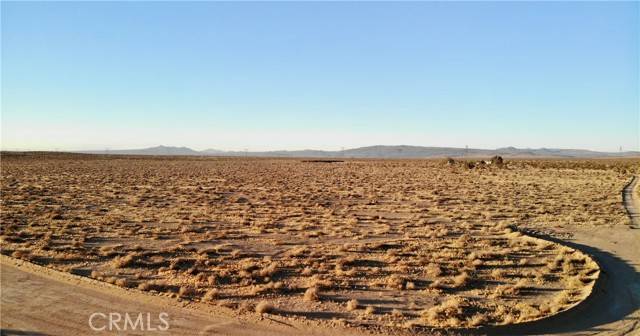 Hinkley, CA 92347,0 Burnt Tree