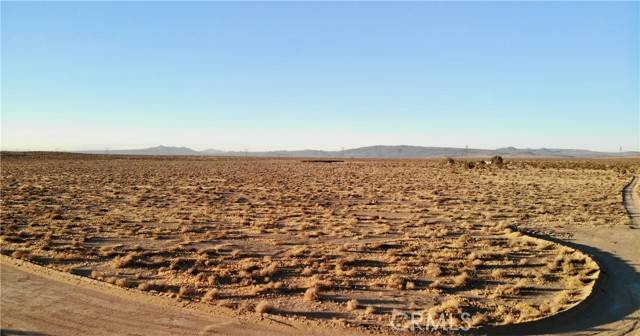 Hinkley, CA 92347,0 Burnt Tree