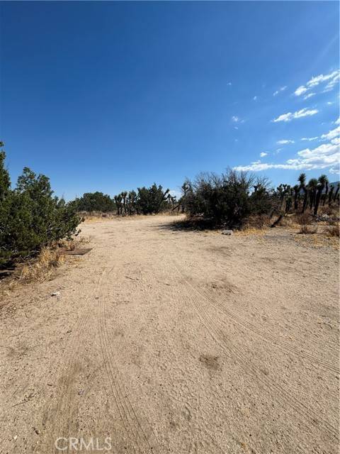 Llano, CA 93544,0 Avenue X