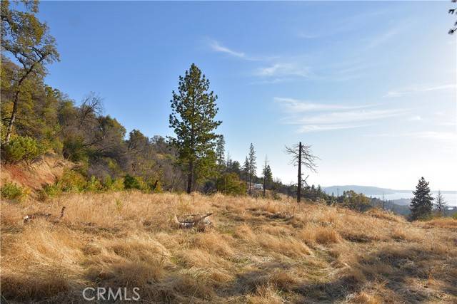 Berry Creek, CA 95966,0 Canyon Creek RD