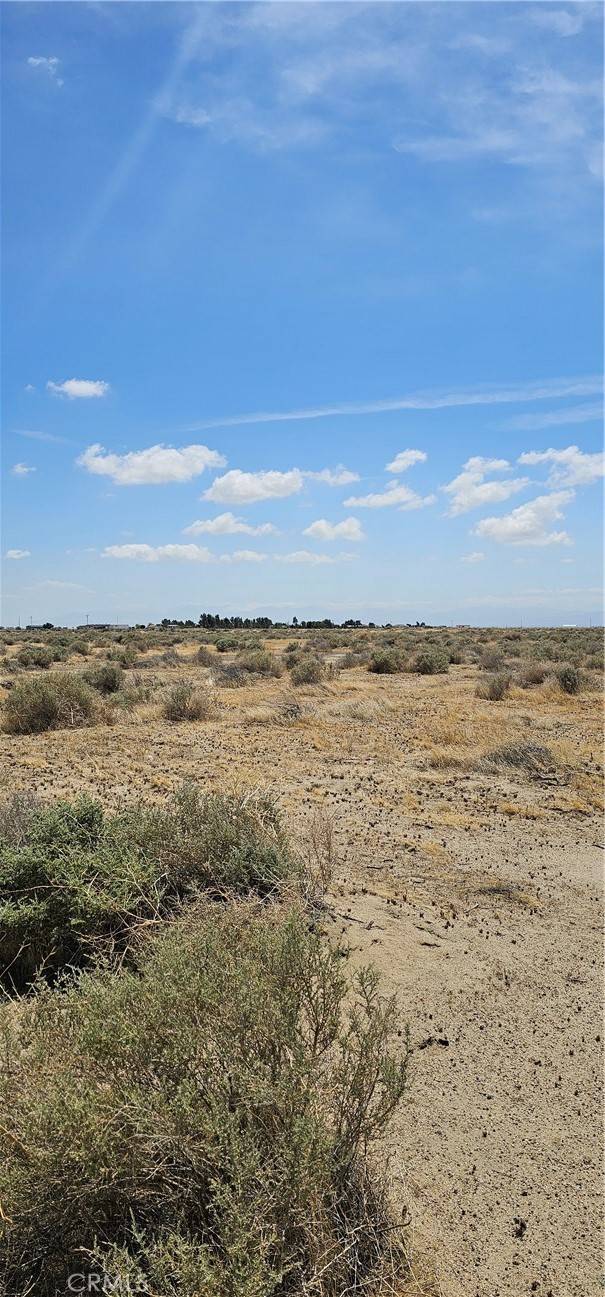 Rosamond, CA 93560,0 George AVE