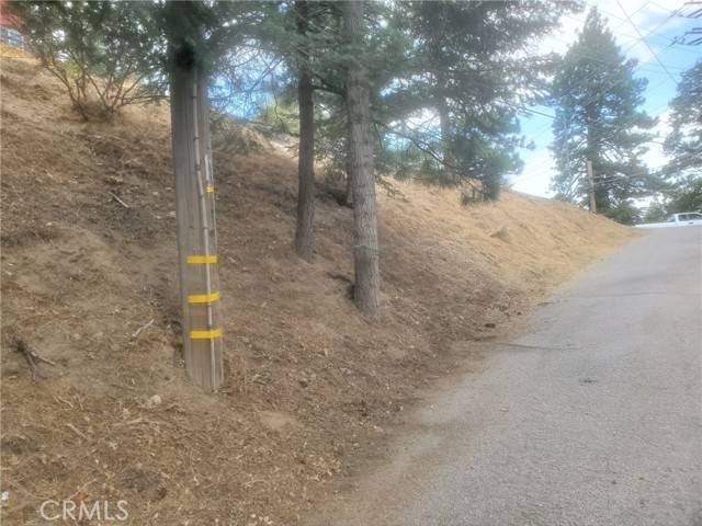 Crestline, CA 92325,709 Arosa DR