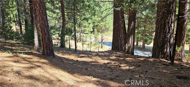 North Fork, CA 93643,108 Forest RD