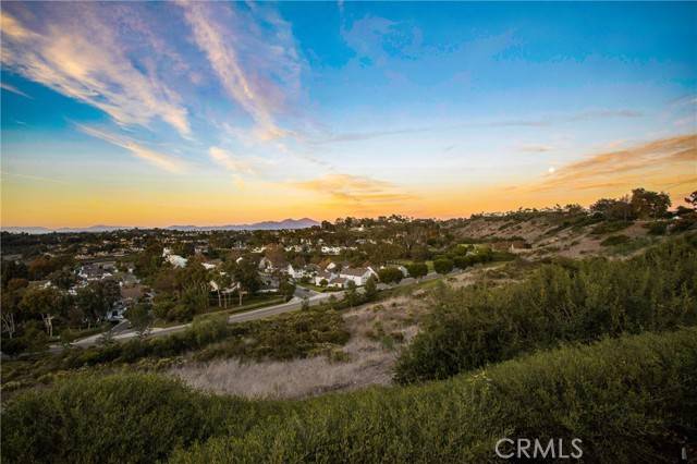 Laguna Niguel, CA 92677,19 Ashburton PL