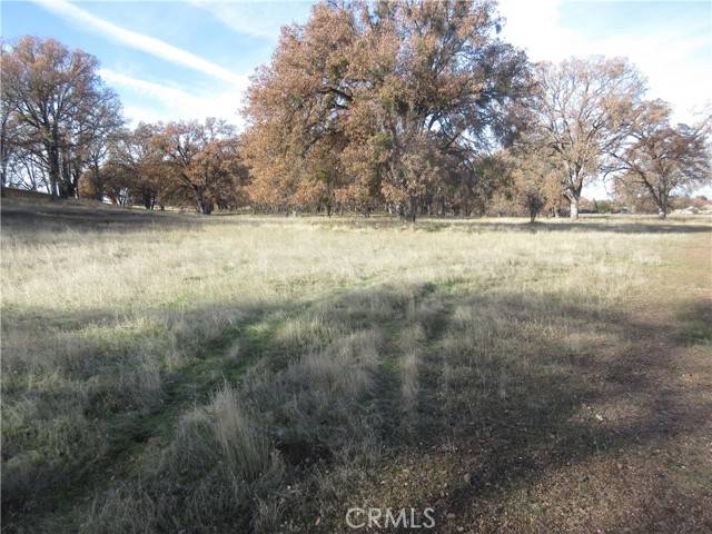 Kelseyville, CA 95451,5095 Konocti RD