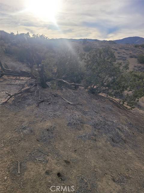 Palmdale, CA 93550,0 Vac/Ca Aqueduct/Pearblossom