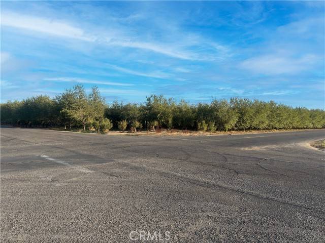 Fresno, CA 93706,38 Acre Lot North & Marks