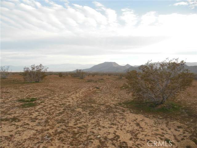 Lucerne Valley, CA 92356,1223 Lorraine@Larjoe